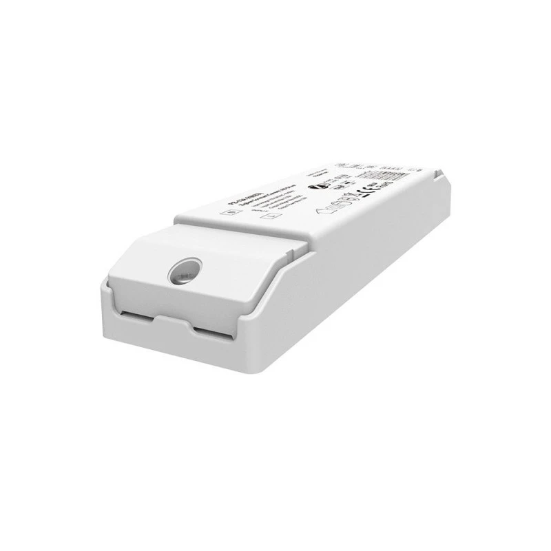 2CH CCT ZigBee 3.0 LED سائق تيار مستمر (150-450 مللي أمبير)